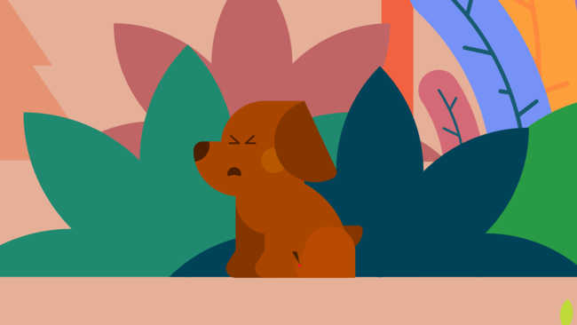 The wounded puppy The wounded puppy