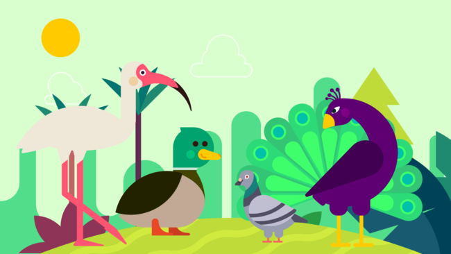 Birds | Learning Names Birds | Learning Names